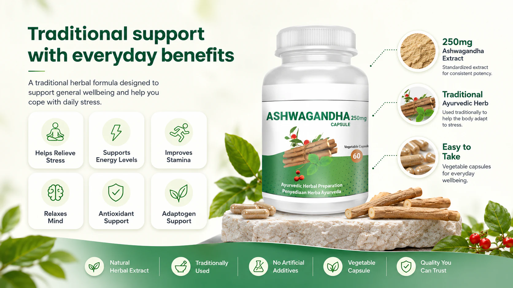 Traditional support with everyday benefits for Ashwagandha, including stress relief, energy, stamina, relaxation, antioxidant support, and adaptogen support.